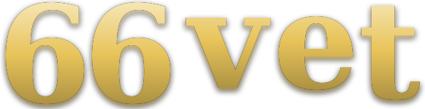 66 vet logo